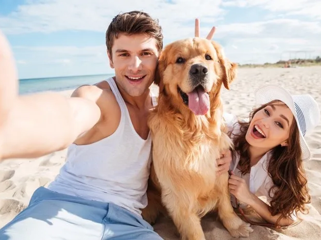 playas para perros