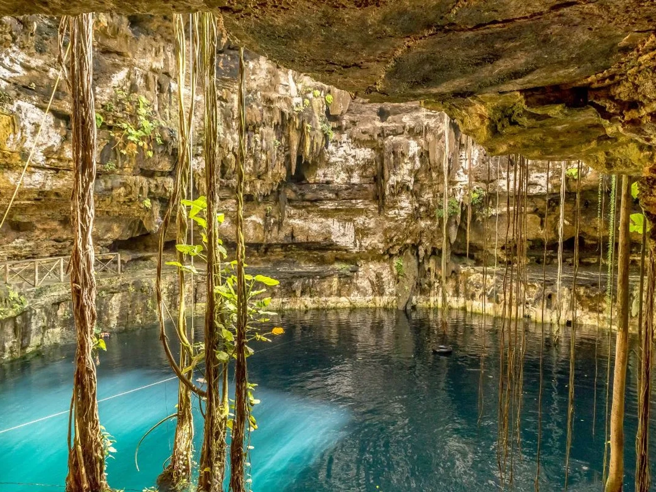 Los mejores cenotes en Yucatán