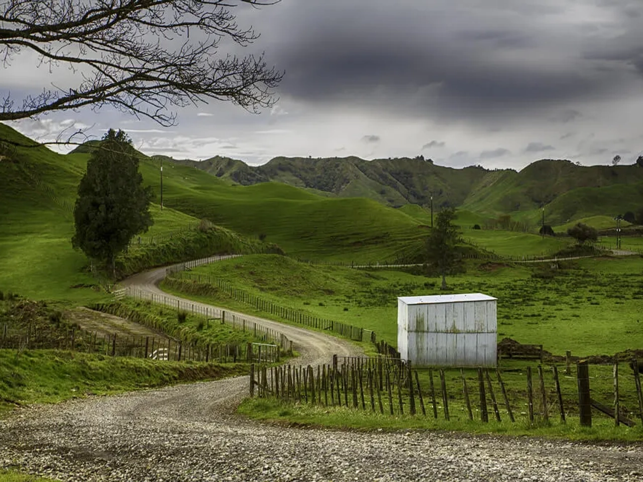 vista da estrada Forgotten World Highway