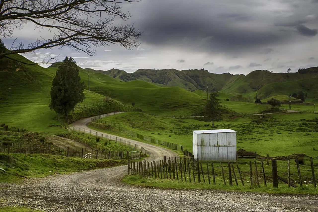 vista da estrada Forgotten World Highway
