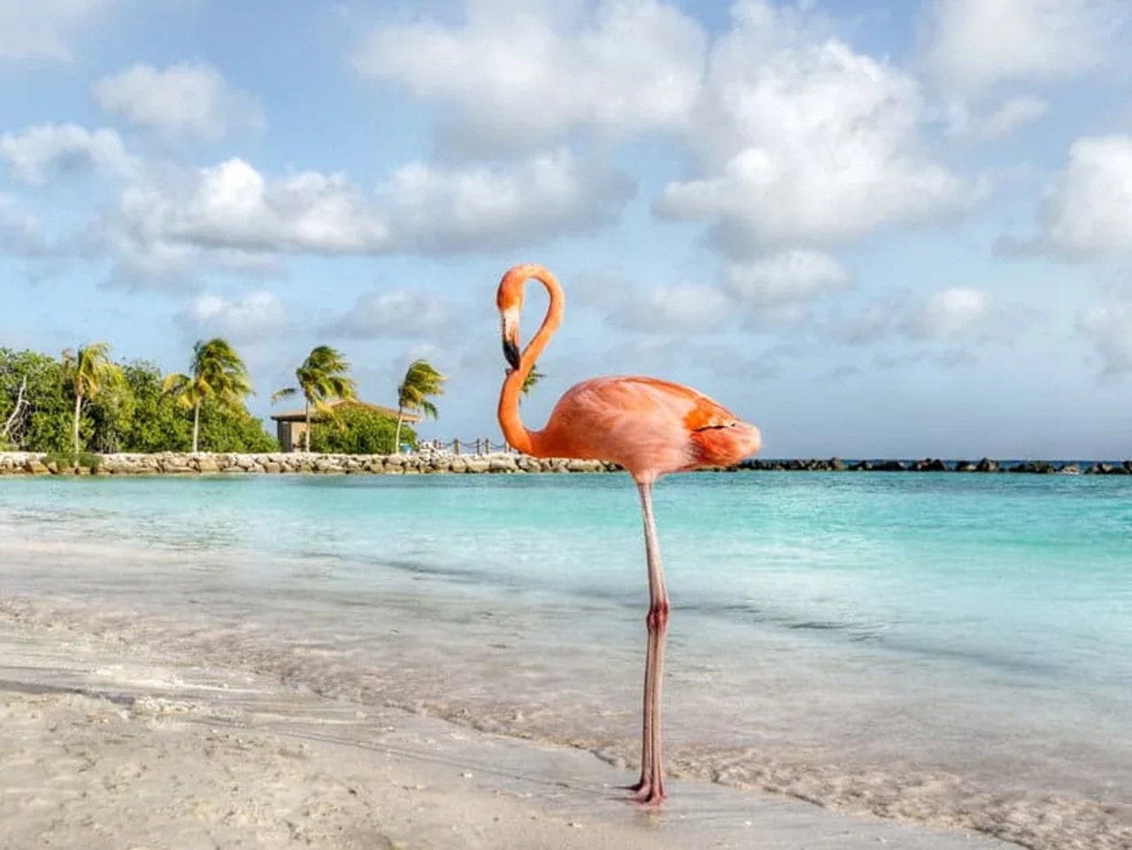 el mejor seguro de viaje a Aruba y sus coberturas