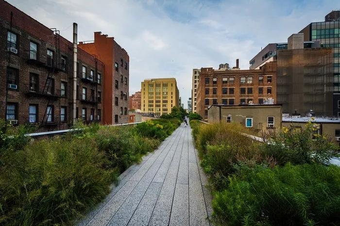 the high line