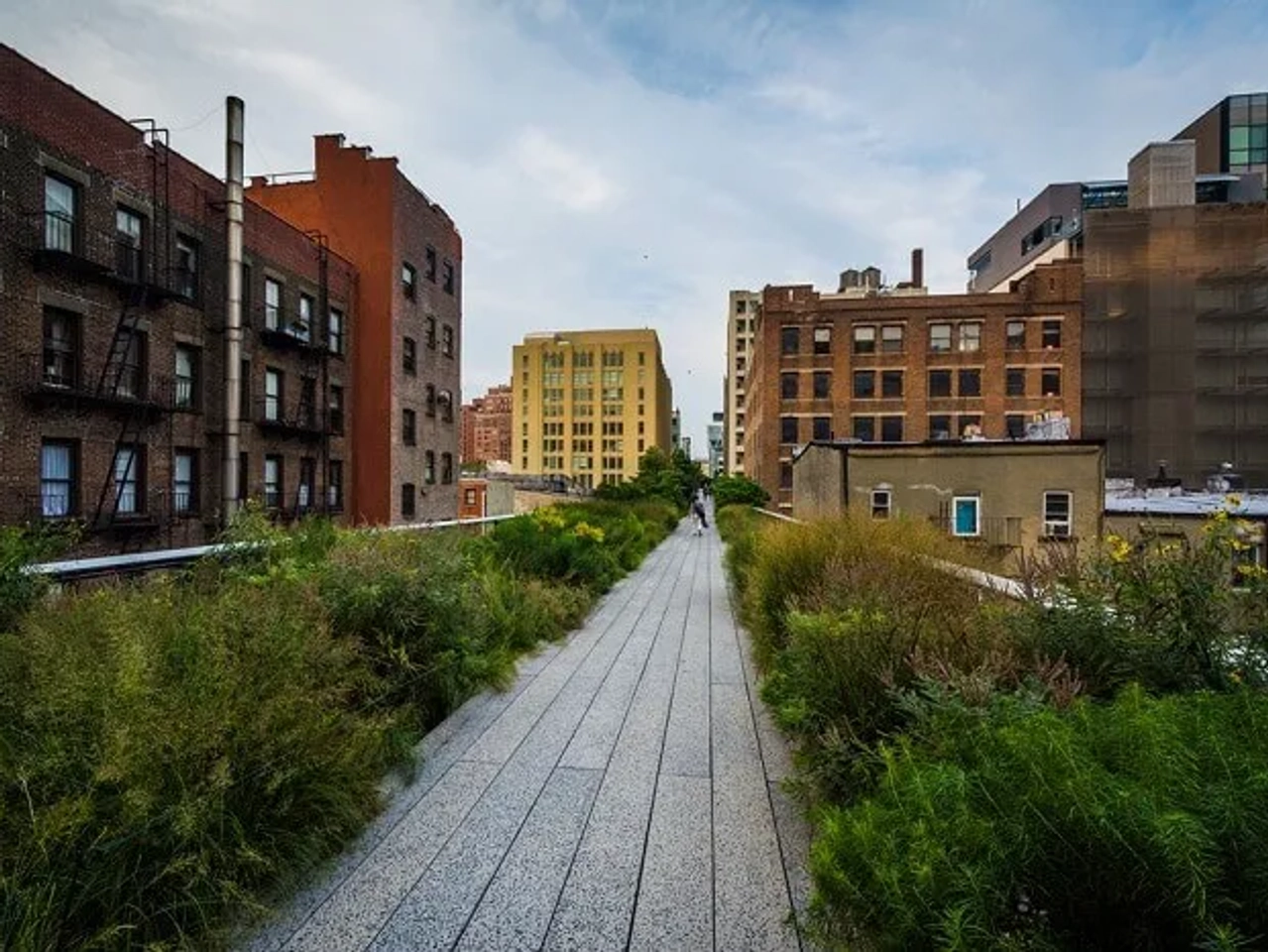 the high line