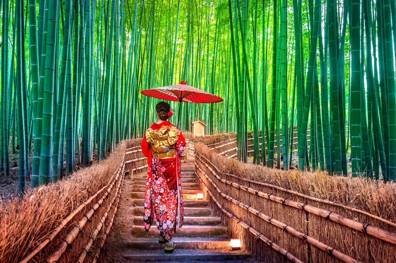 mulher de quiomono passeia pela floresta de bambu