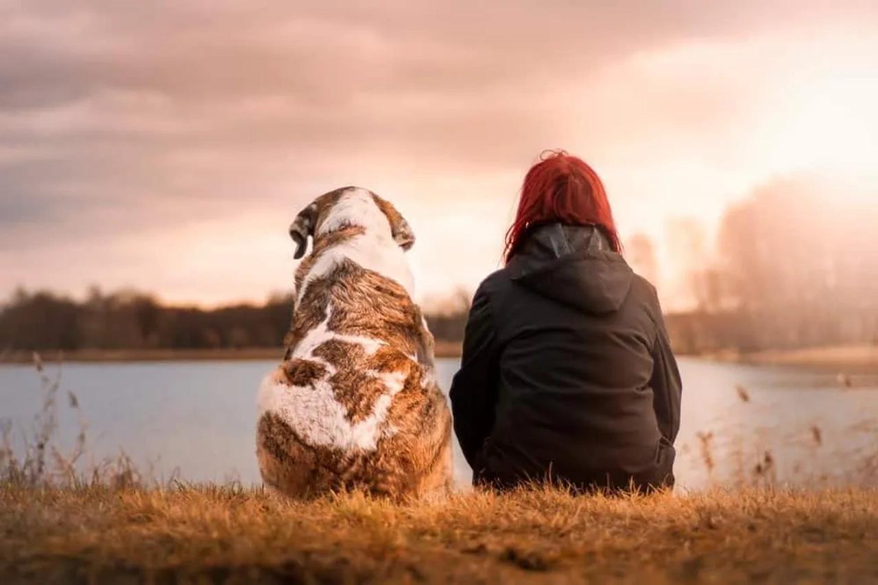 viajar con mascota
