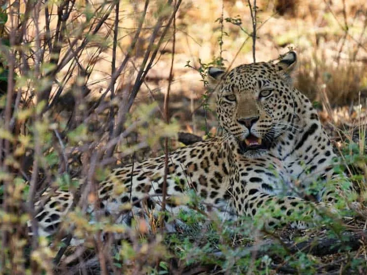 seguro para viajar a Namibia