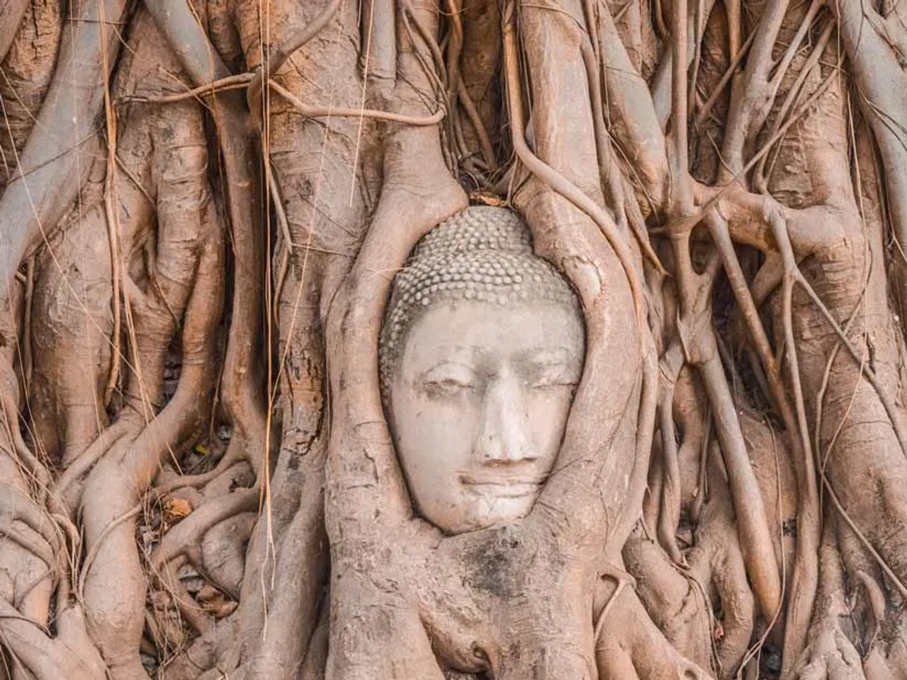 Día 3: Ayutthaya y viaje a Chiang Mai