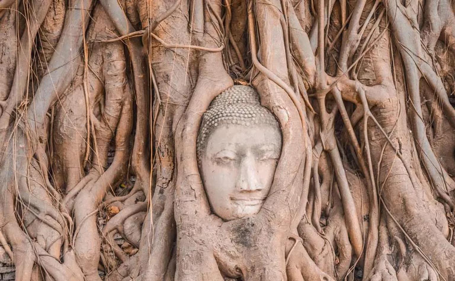 Día 3: Ayutthaya y viaje a Chiang Mai