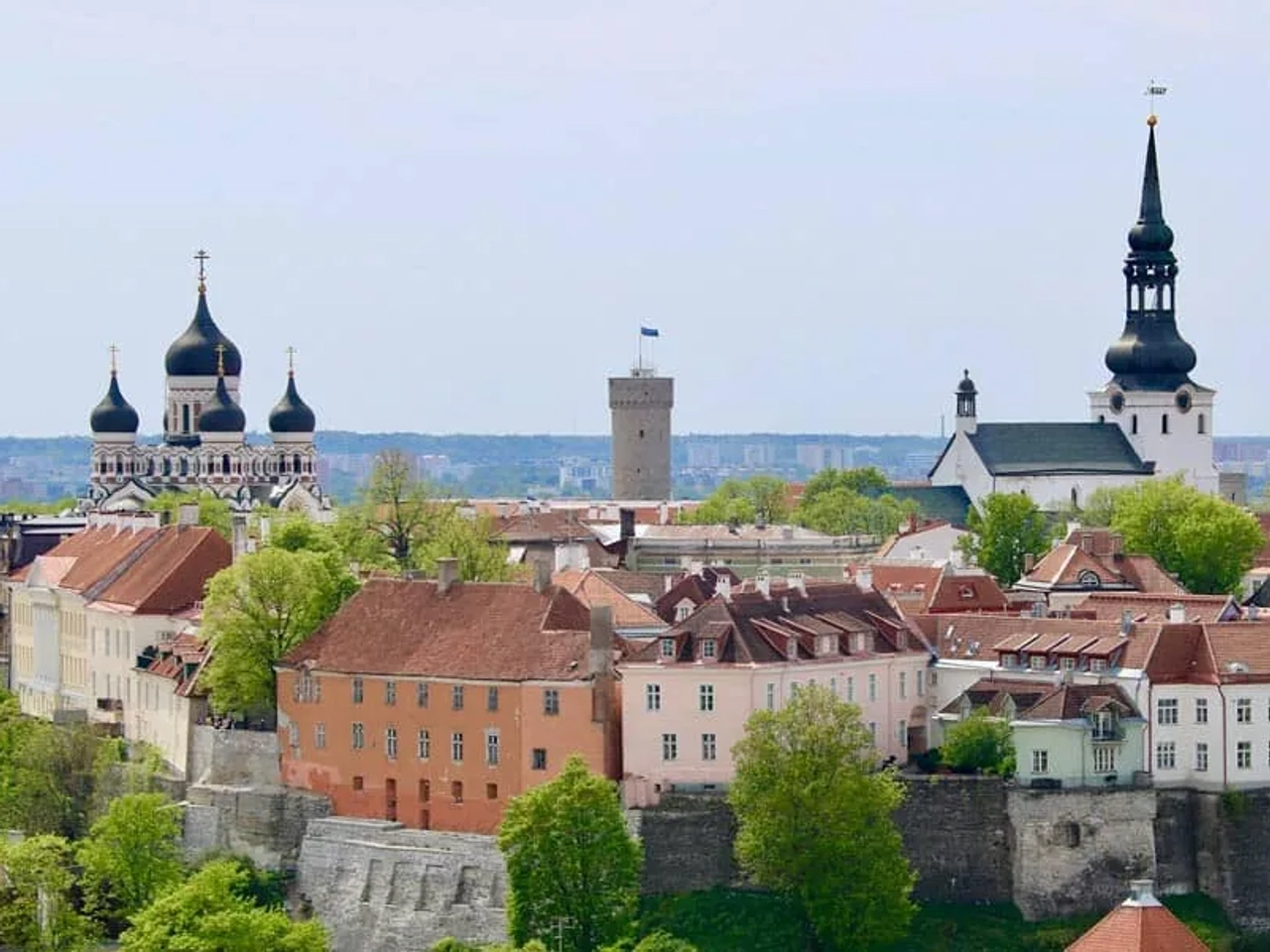 cosas que hacer en Tallin