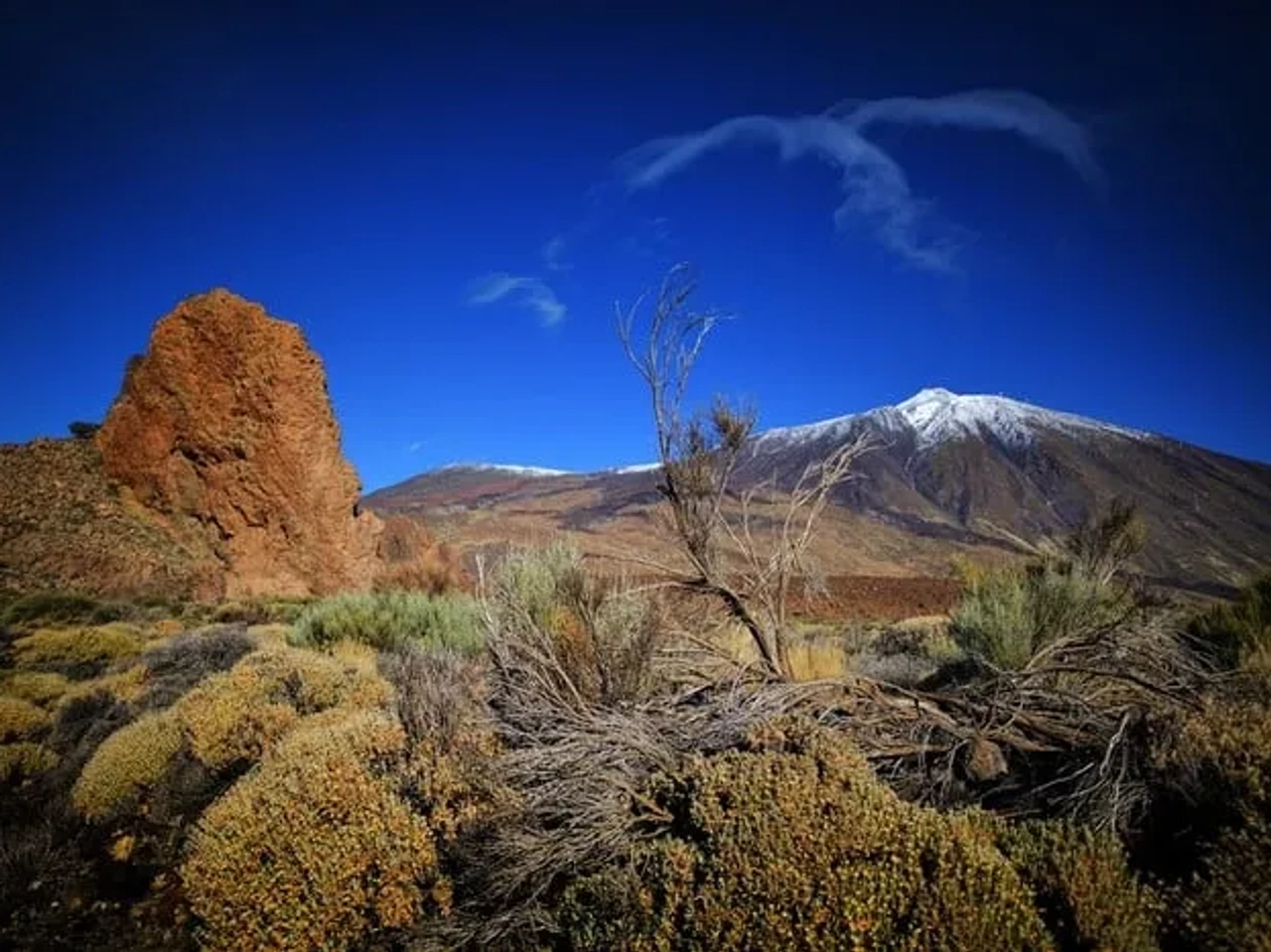 Dónde ir en primavera