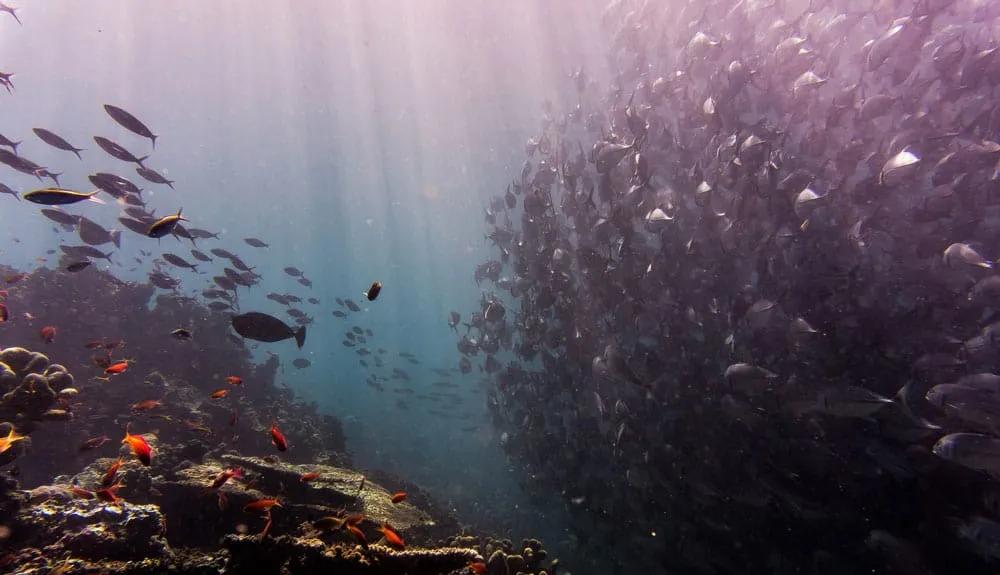 cobertura de deportes de aventura