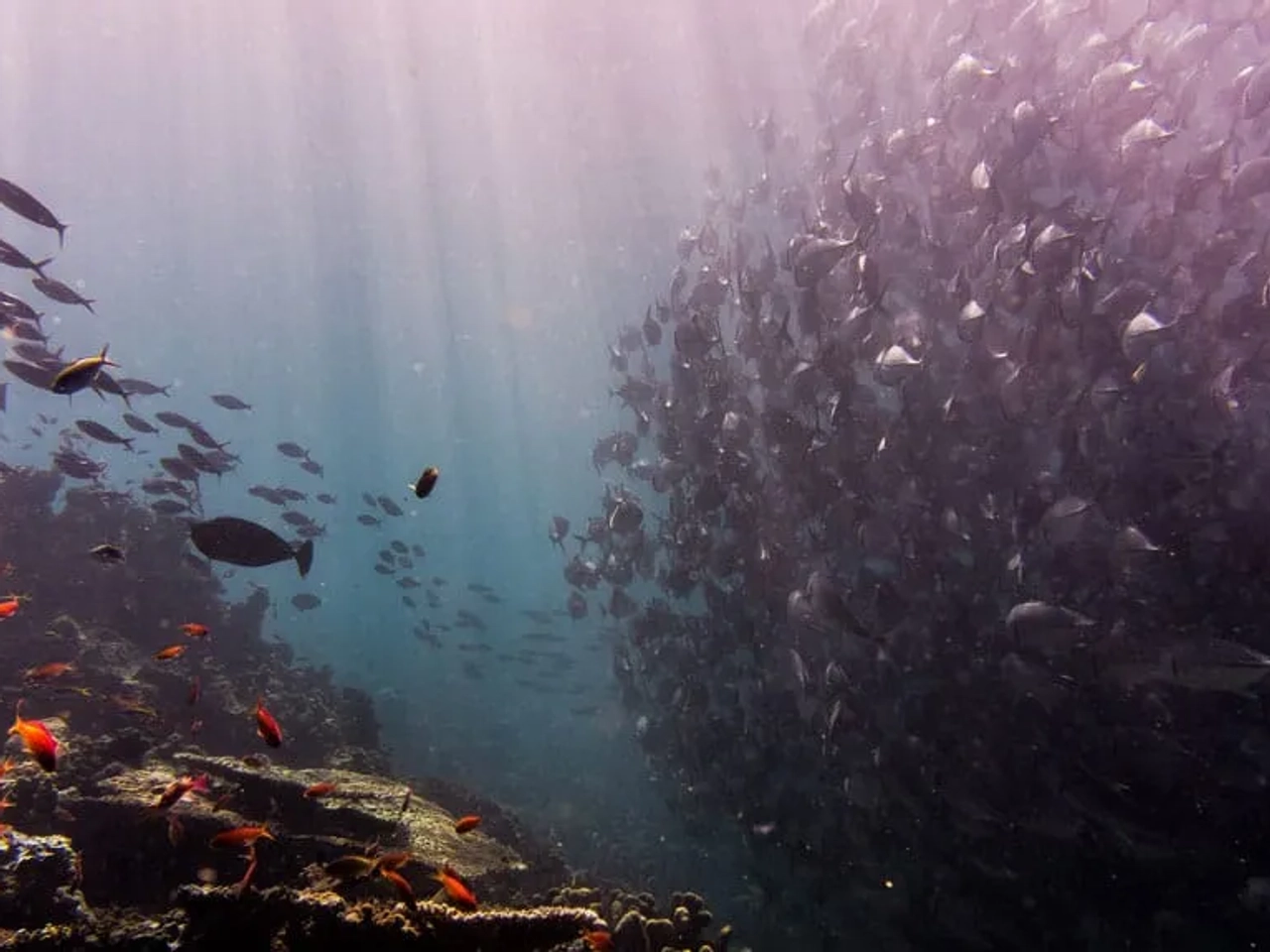 cobertura de deportes de aventura