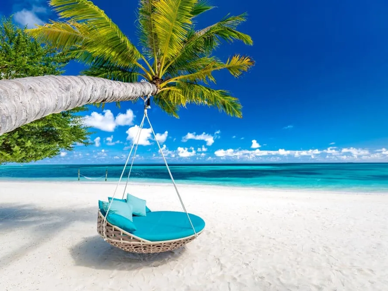 cadeira de baloiço pendurada numa palmeira nas maldivas