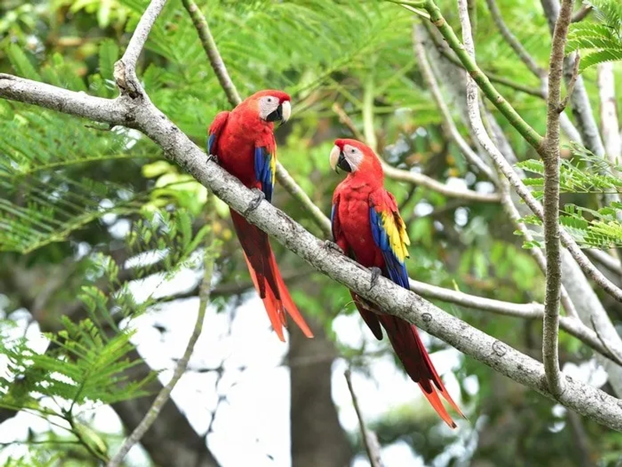 Parques Nacionales de Costa Rica