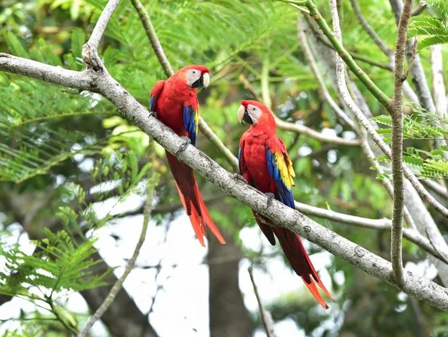 Parques Nacionales de Costa Rica