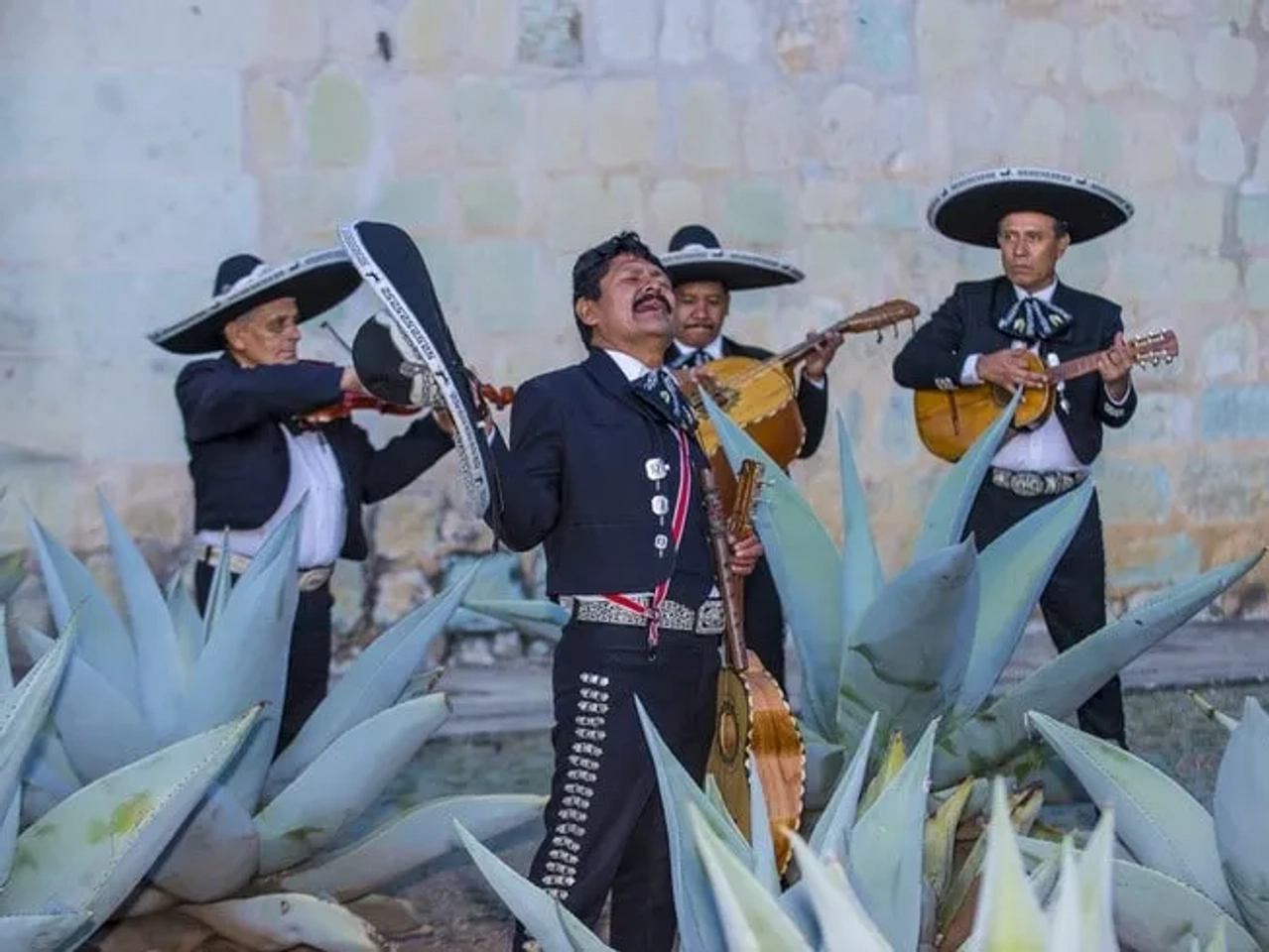 Ciudad de México qué hacer