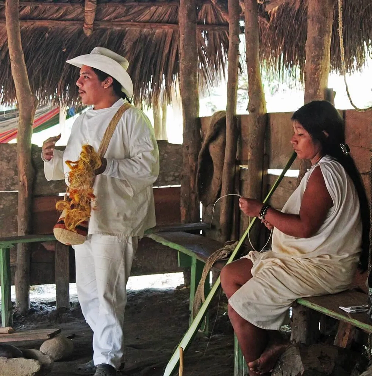 indigenas wawi