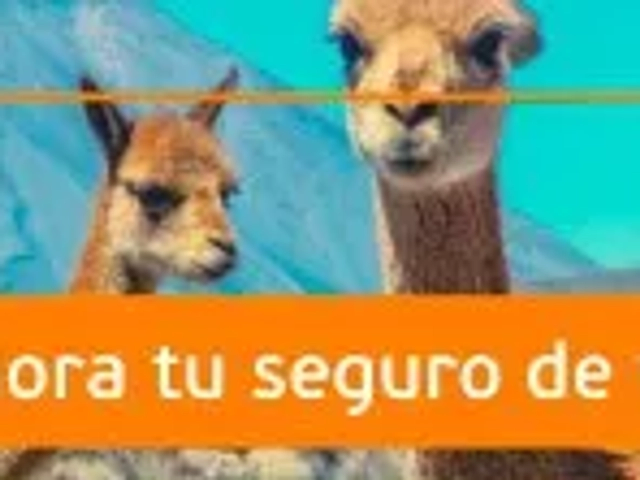 seguro de viaje a Perú