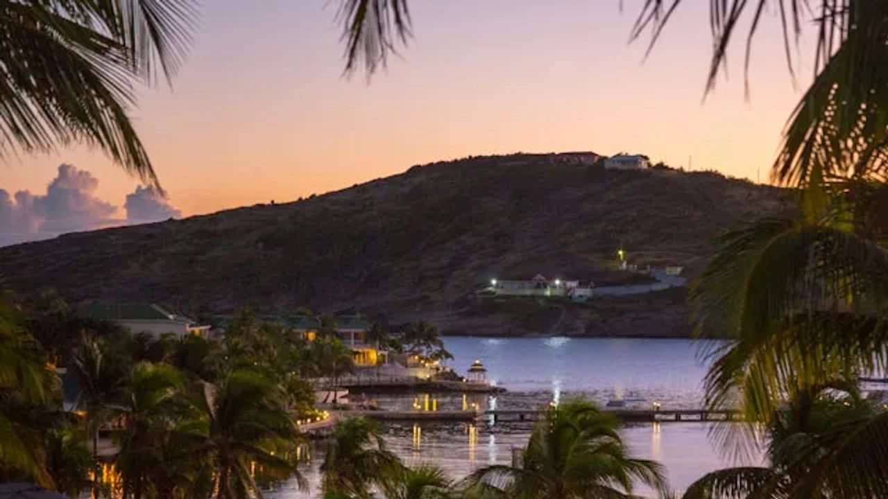 vista de antigua ao por do sol com barcos e plameiras e luzes da cidade
