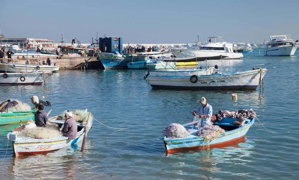Qué hacer en Alejandría