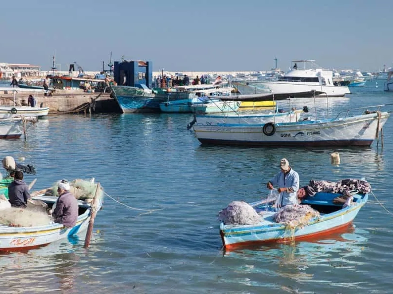 Qué hacer en Alejandría