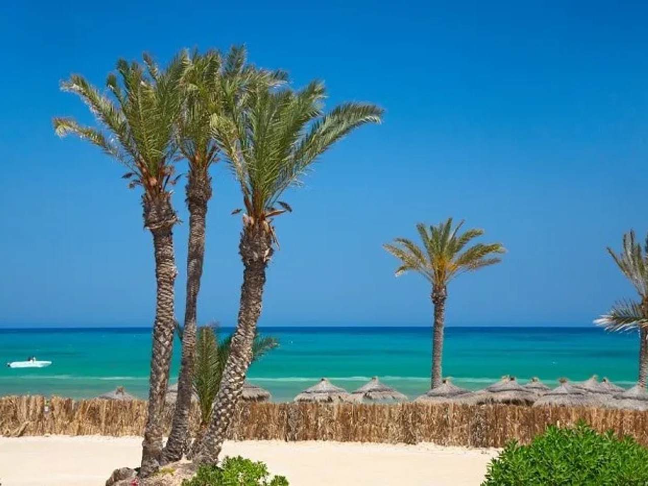 djerba-isla-túnez