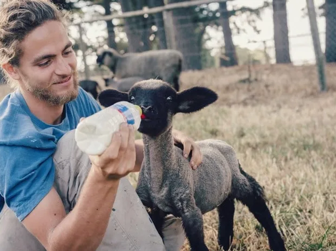 Trucos para viajar barato