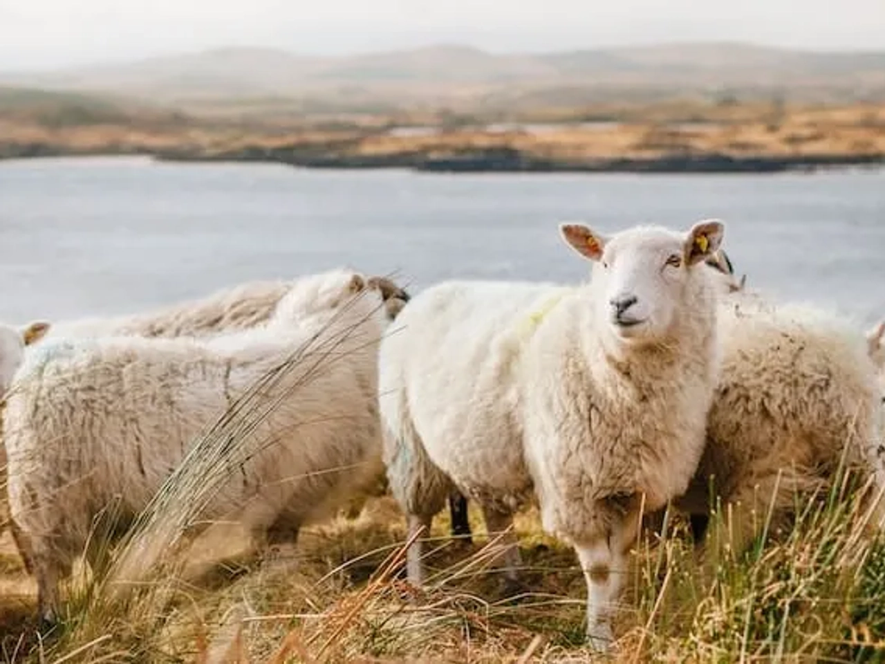 Connemara National Park