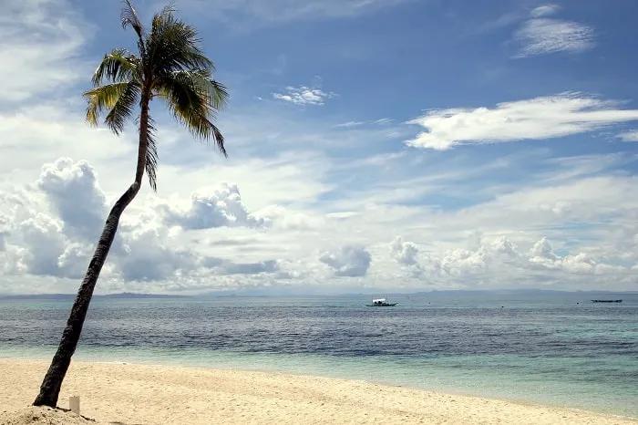 Playa tranquila con palmera, mar azul y cielo nublado. Ideal para luna de miel.