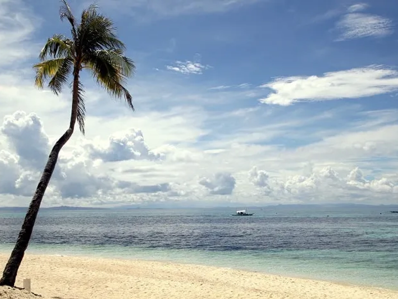 Playa tranquila con palmera, mar azul y cielo nublado. Ideal para luna de miel.