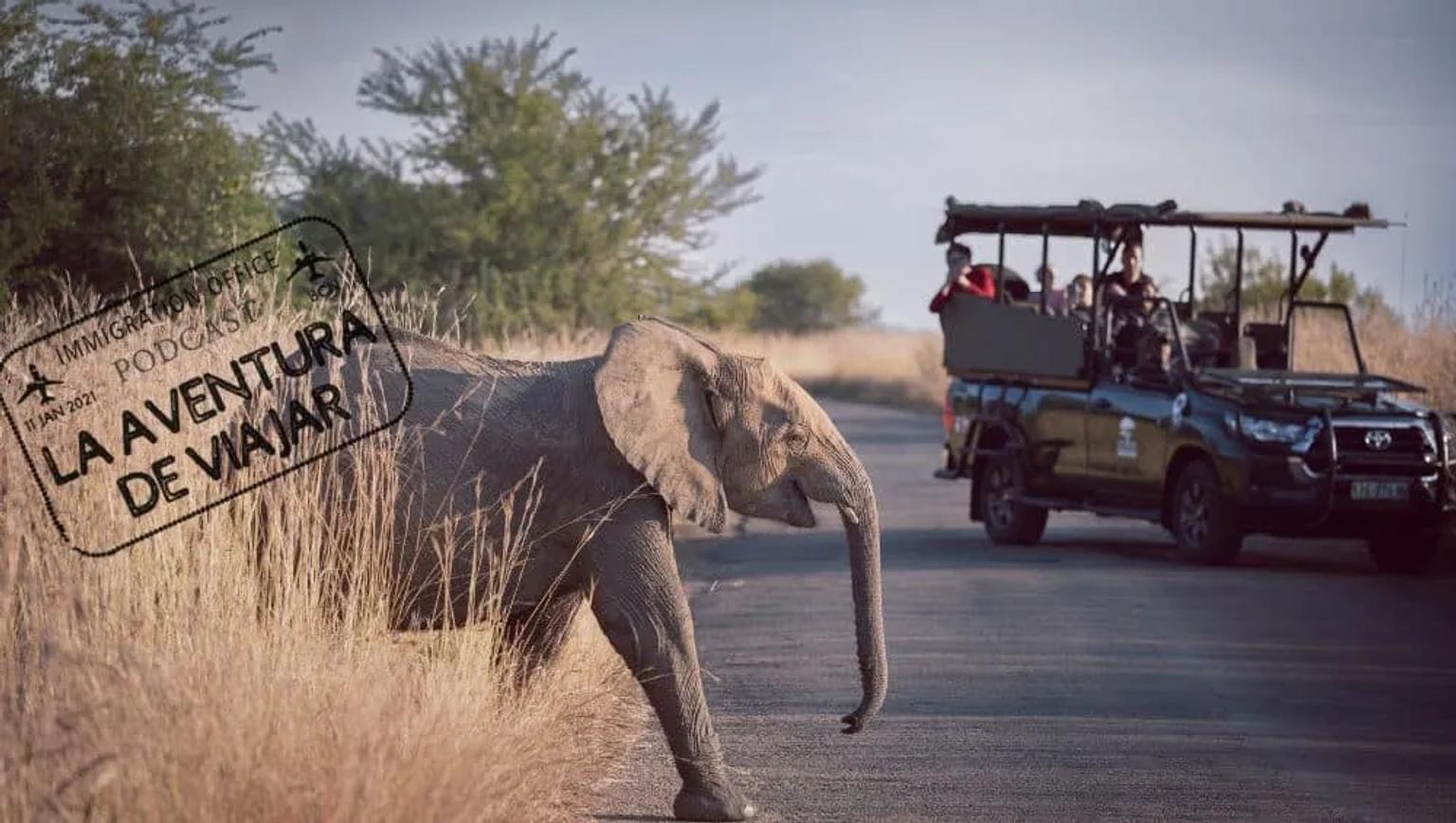 Podcast sobre viajes y safaris