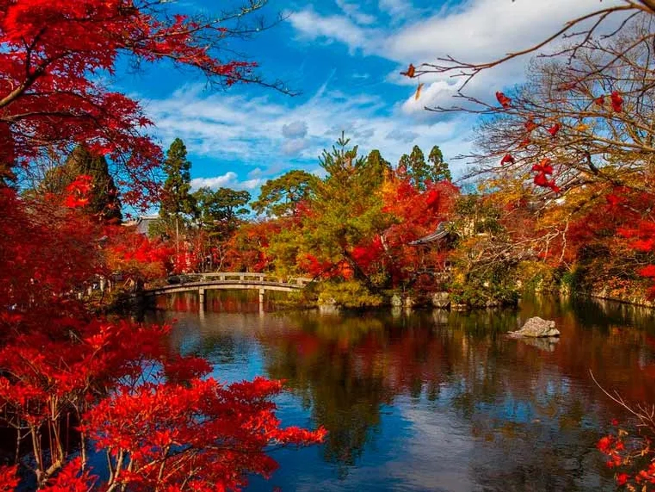 dónde viajar en otoño