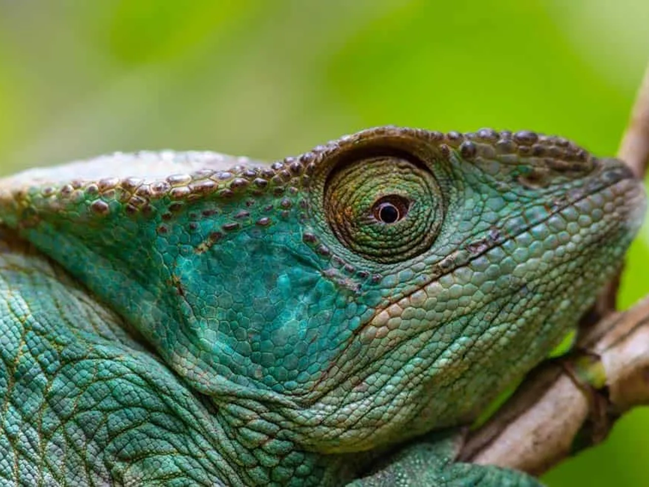 Lugares turísticos en Madagascar
