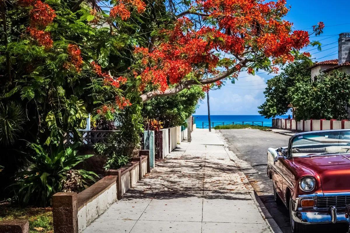 Itinerario de viaje a Cuba: 10 días