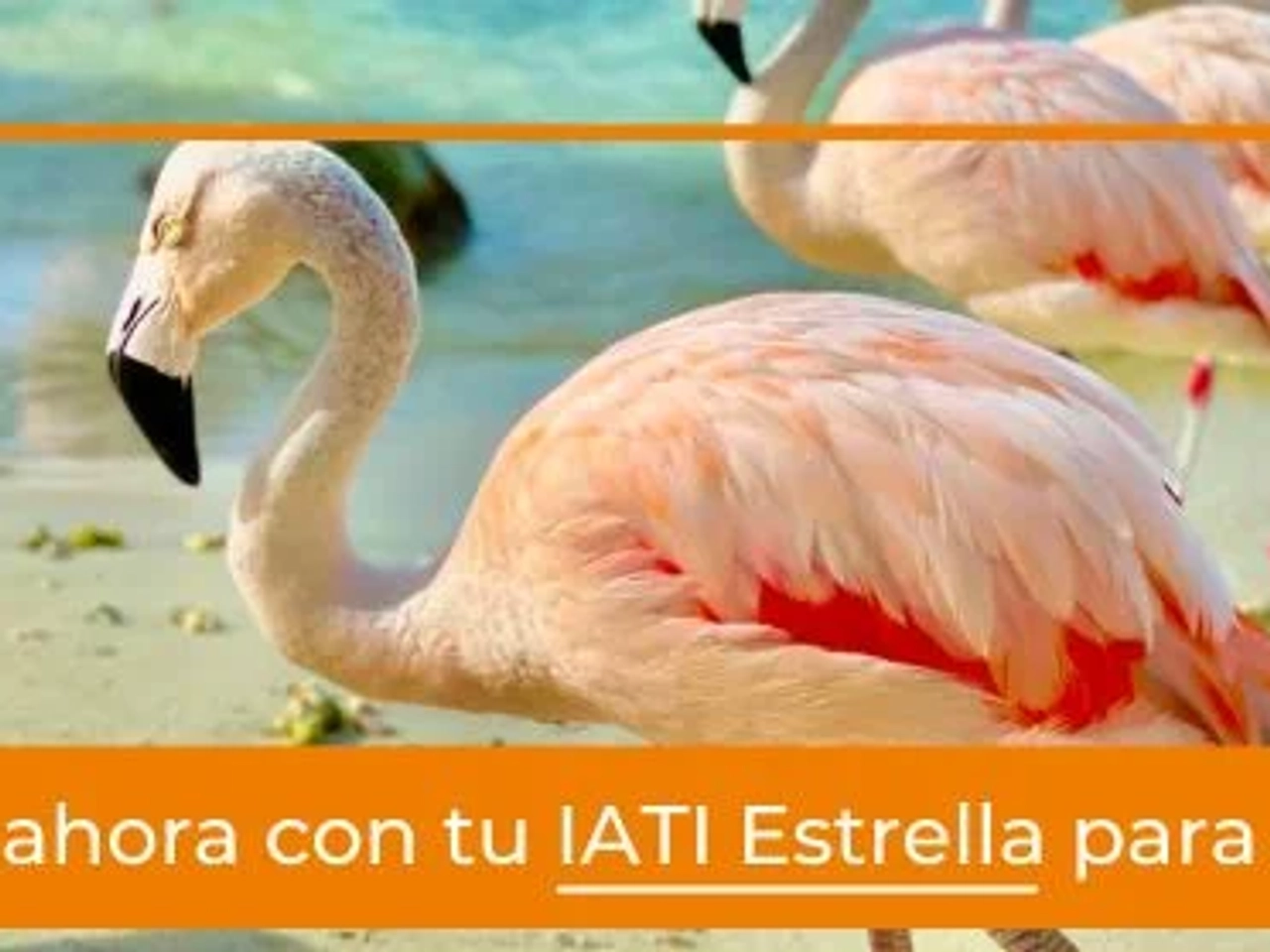 Requisitos para viajar a Aruba