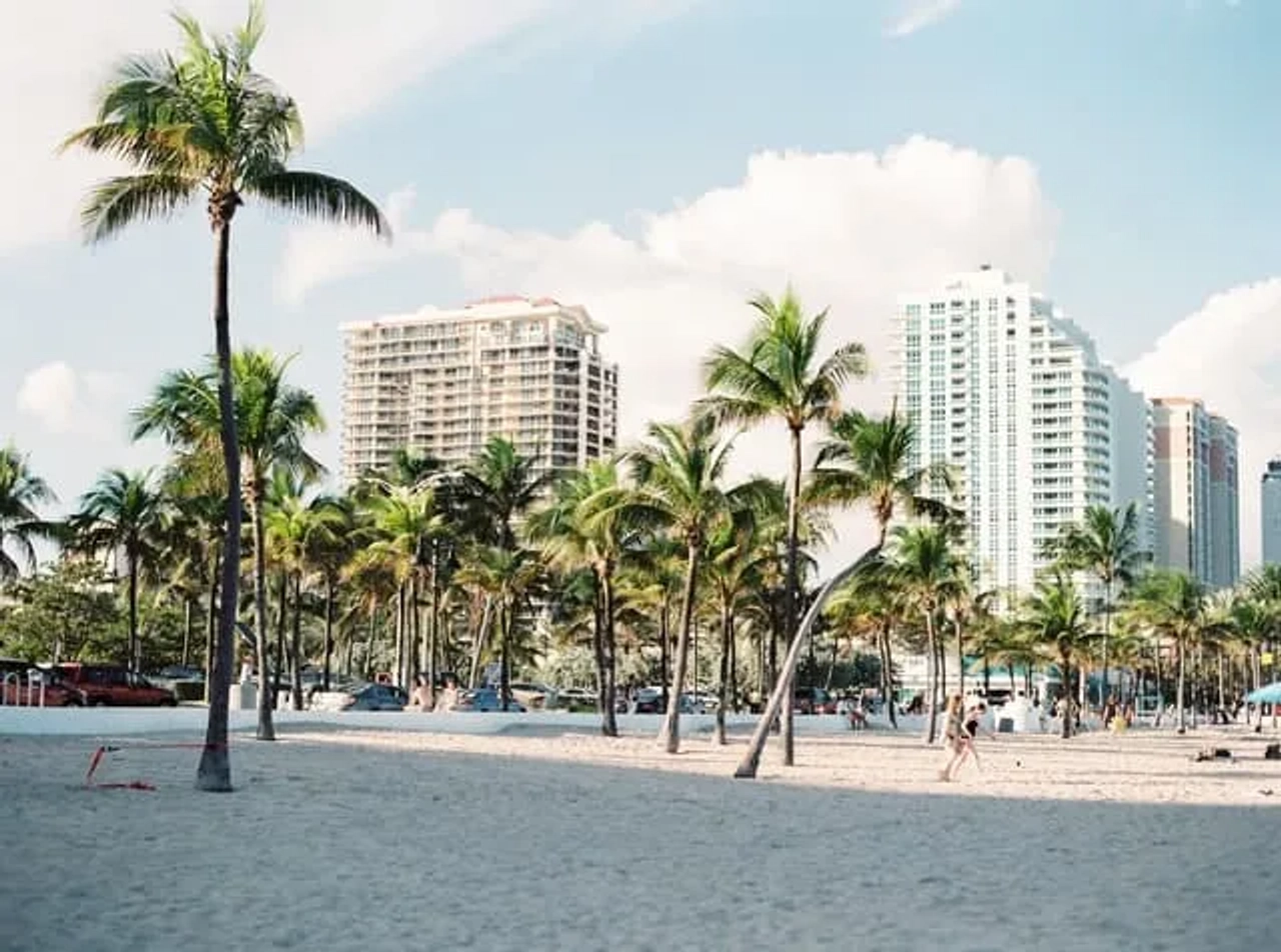 palmeiras junto a edificios em Miami