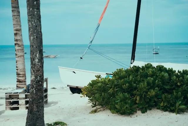 sailing vessel on a beach in zanzibar