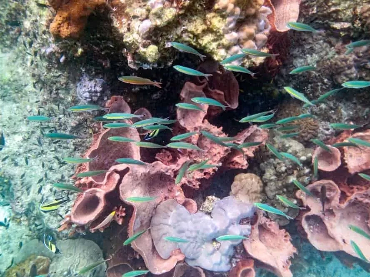 buceo en Tailandia