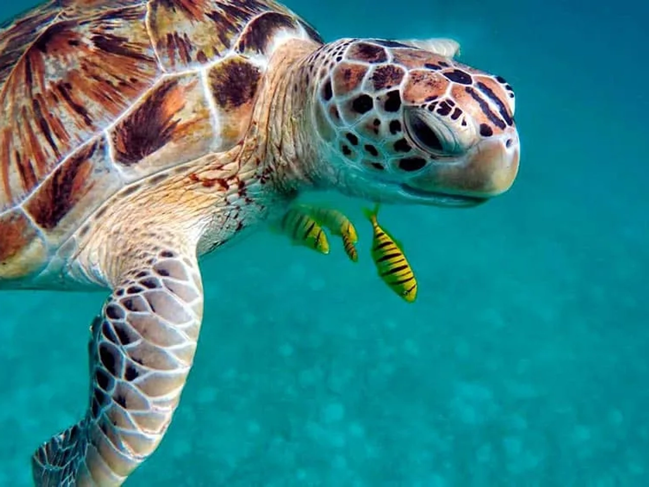 deportes de aventura en Asia