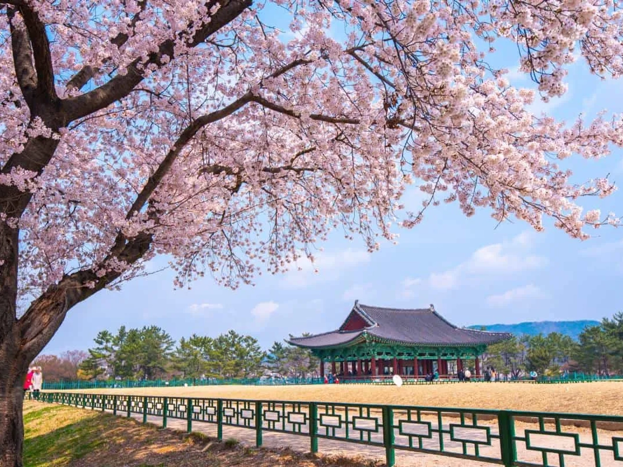 cómo solicita k-eta para Corea del Sur