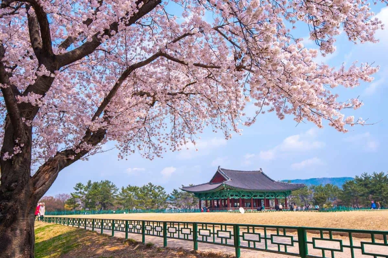 cómo solicita k-eta para Corea del Sur