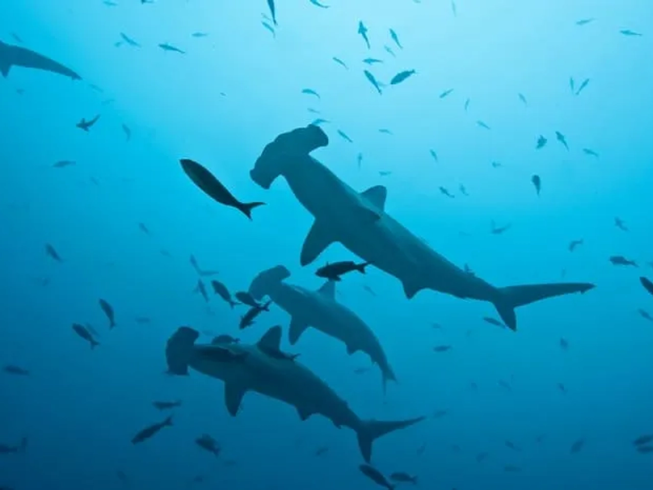 Parques Nacionales de Costa Rica