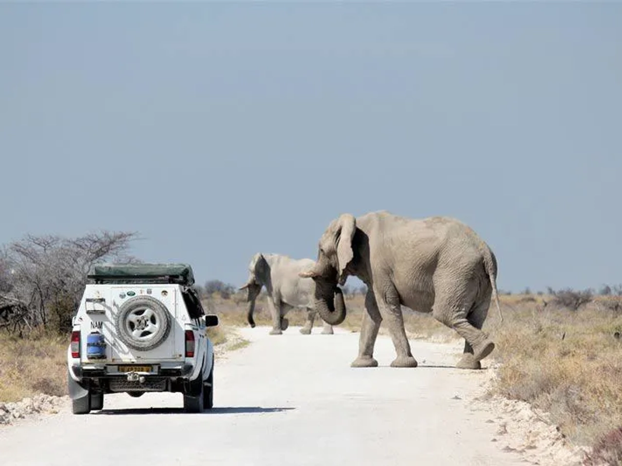 peligros en Namibia