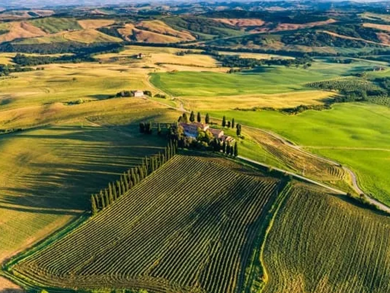 vista de uma produção vinícola na Toscana em Itália