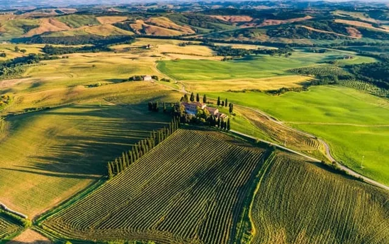 vista de uma produção vinícola na Toscana em Itália