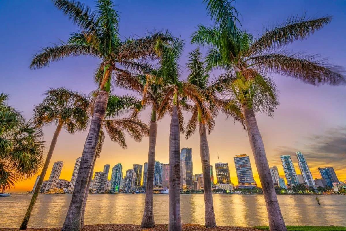 Consejos para viajar a Miami