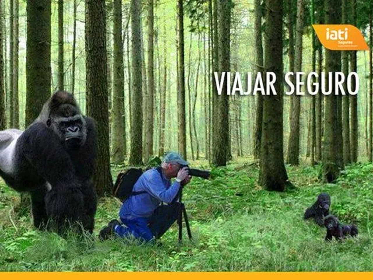 Seguro de viagem com cartão VISA - img2