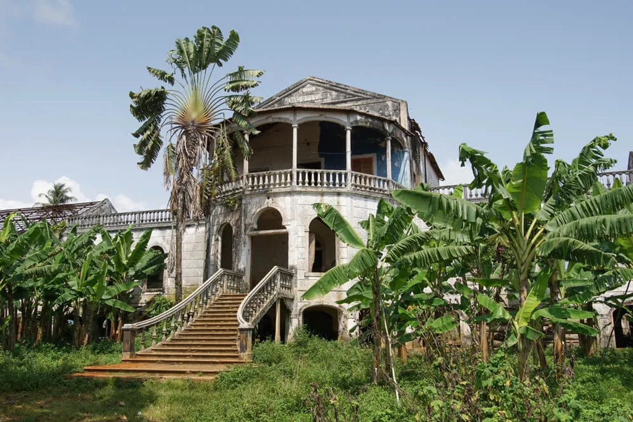 ruinas da roça agua izé com vegetaçao e palmeiras