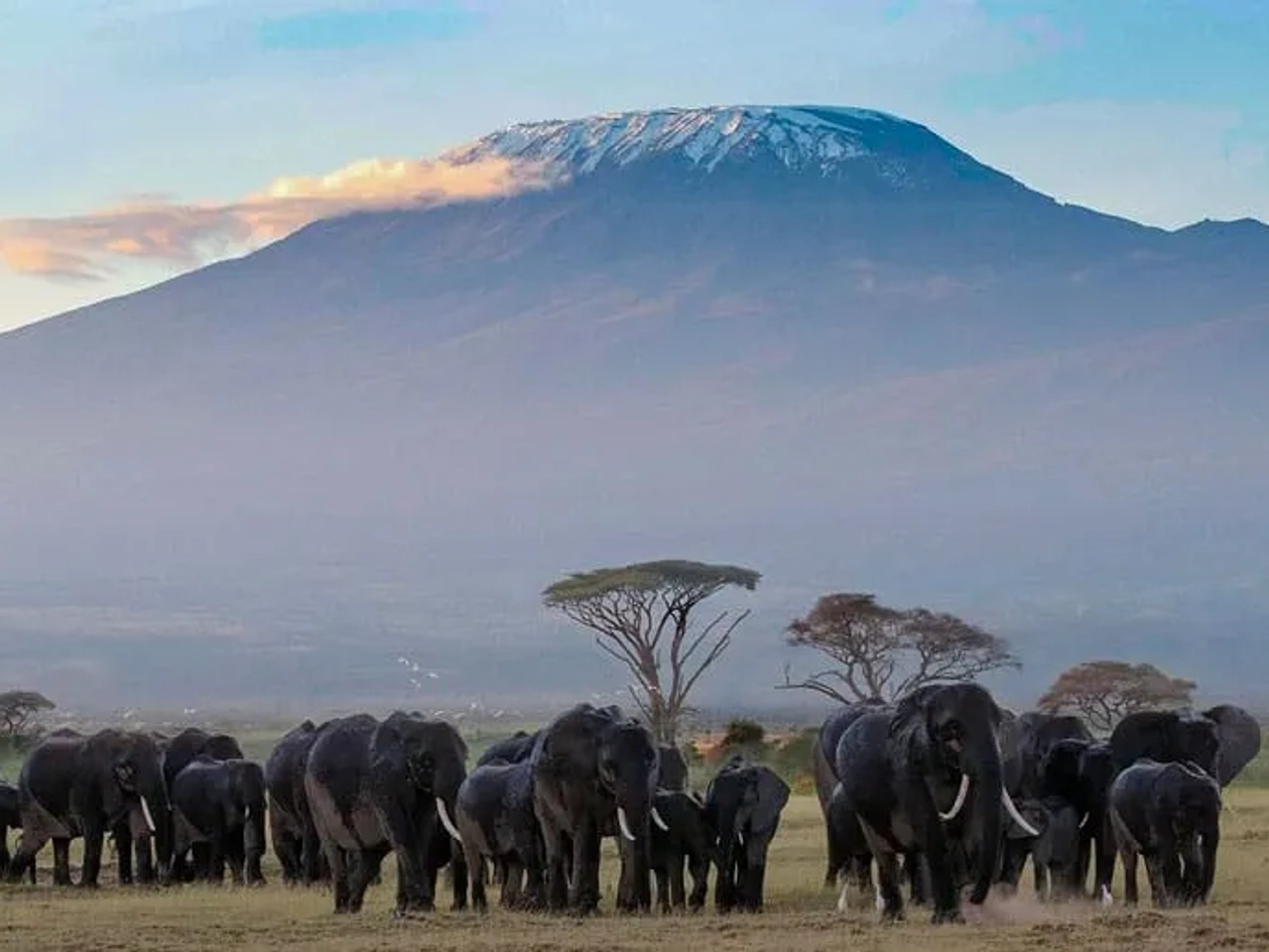 Es seguro viajar a Tanzania y Zanzíbar