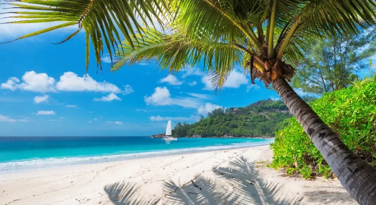 playas de Jamaica